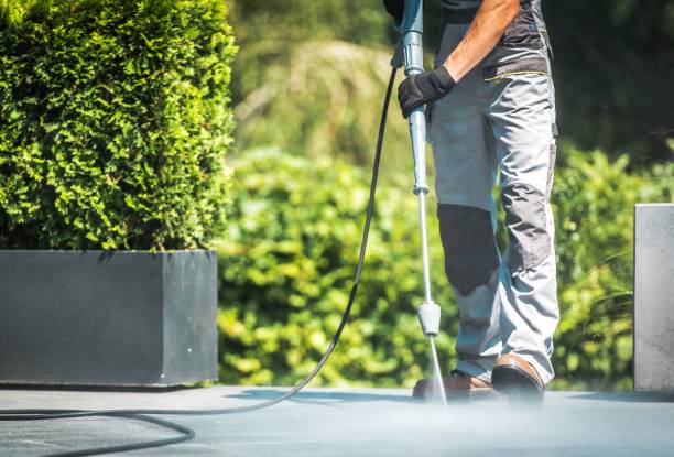 Best Roof Washing  in Lake Andes, SD