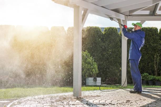 Best Soft Washing  in Lake Andes, SD